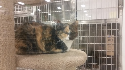 Pet Supply Store «PetSmart», reviews and photos, 5640 Cedar Lake Rd, Minneapolis, MN 55416, USA