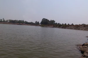 Tamgaon Lake image