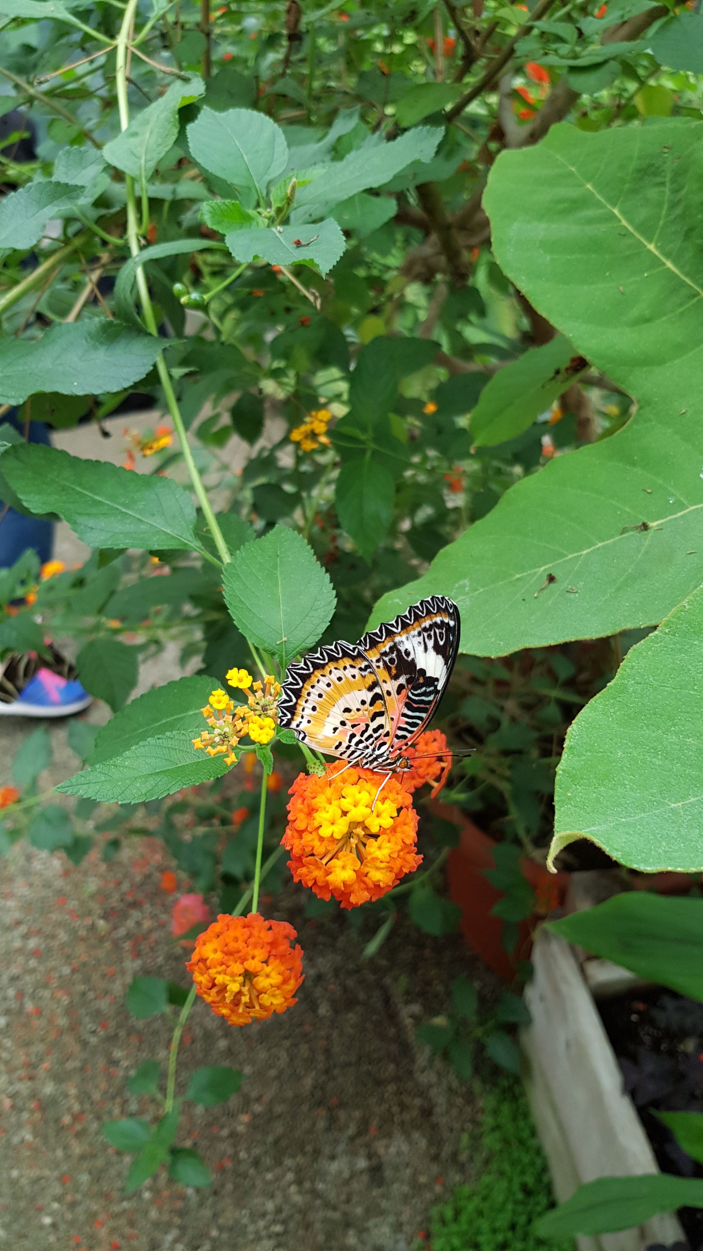 Photo n° 3 de l'avis de Raf.a fait le 10/06/2019 à 09:54