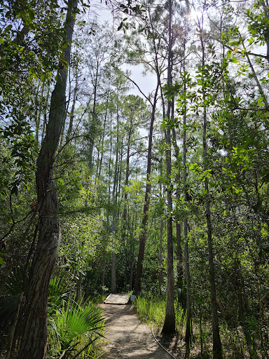 Nature Preserve «Calusa Nature Center & Planetarium», reviews and photos, 3450 Ortiz Ave, Fort Myers, FL 33905, USA