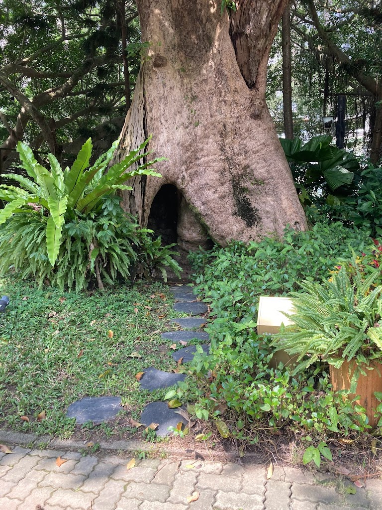 青青食尚花園會館 的照片