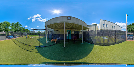 Kennel «Pampered Pets», reviews and photos, 601 Concord Ave, Charlottesville, VA 22903, USA