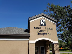 South Lake Animal Hospital