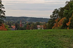 Mushroom viewpoint image