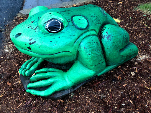 RV Park «Calaveras County Fair & Jumping Frog Jubilee», reviews and photos, 2465 Gunclub Rd, Angels Camp, CA 95222, USA