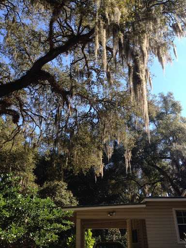 Insurance Agency «Artisan Insurance Group», reviews and photos