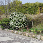 Photo n°9 de l'avis de Vincenzo.a fait le 02/04/2024 à 09:59 sur le  Restaurant La Botte à Satriano di Lucania