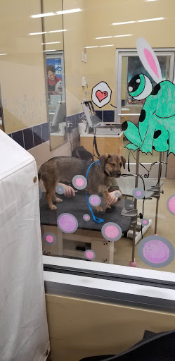 Pet Supply Store «Petco Animal Supplies», reviews and photos, 1 US-46, Totowa, NJ 07512, USA