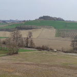 Photo n°12 de l'avis de Chiara.e fait le 12/03/2023 à 21:24 sur le  Pet and Breakfast Pet Friendly Country House à Moncalvo