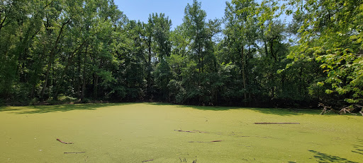 Nature Preserve «Knute Olson, Jr. Forest Preserve», reviews and photos, 12595 Base Line Rd, Kingston, IL 60145, USA