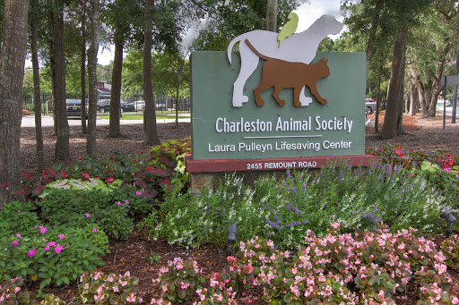 Animal Protection Organization «Charleston Animal Society», reviews and photos