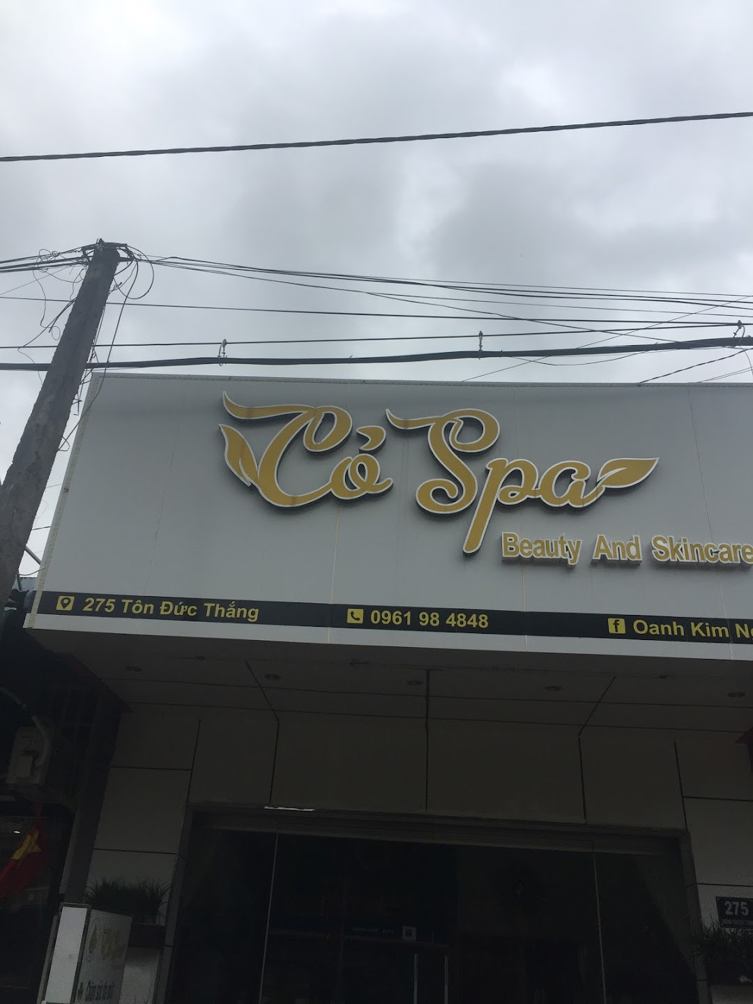 Cỏ spa