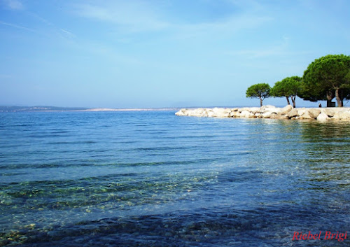 Nemo beach photo #2