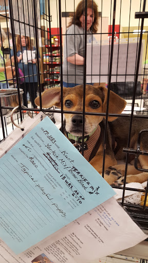 Pet Supply Store «Petco Animal Supplies», reviews and photos, 4915 E 41st St C, Tulsa, OK 74135, USA