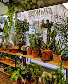 Shawnee Plantshop Marché aux Fleurs, Place Louis Lepine, 75004 Paris, France