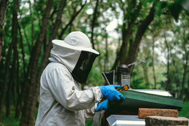 Hanzel Méz - Élelmiszerüzlet