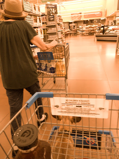 Department Store «Walmart Supercenter», reviews and photos, 12900 W Thunderbird Rd, El Mirage, AZ 85335, USA