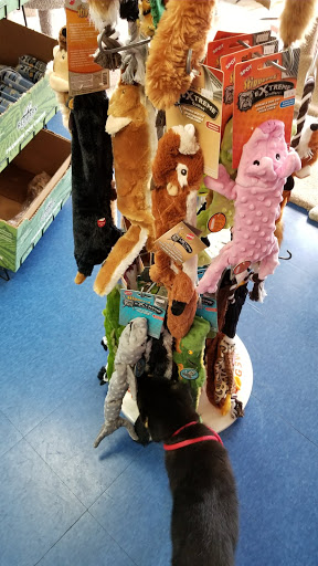 Pet Store «Pet Nation Llc», reviews and photos, 1898 Andorra St, Navarre, FL 32566, USA