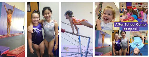 Gymnastics Center «Apex Gymnastics», reviews and photos, 3751 Charter Park Ct, San Jose, CA 95136, USA