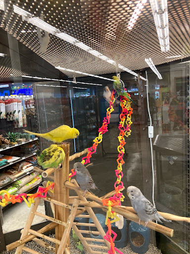 Pet Supply Store «Petco Animal Supplies», reviews and photos, 5938 Roswell Rd NE, Sandy Springs, GA 30328, USA