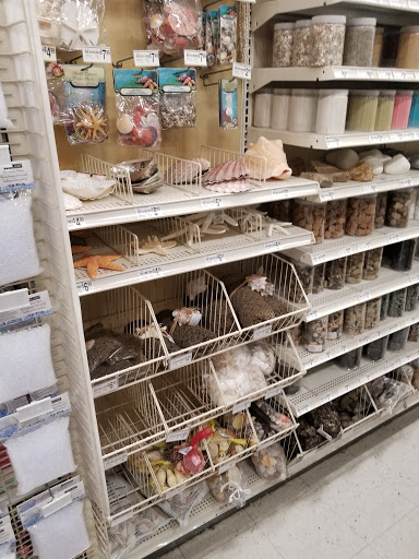 Craft Store «Michaels», reviews and photos, 4255 Pheasant Ridge Dr NE, Blaine, MN 55449, USA