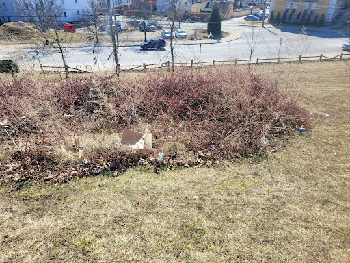 Park «High Rock Tower Park», reviews and photos, 30 Circuit Ave, Lynn, MA 01902, USA