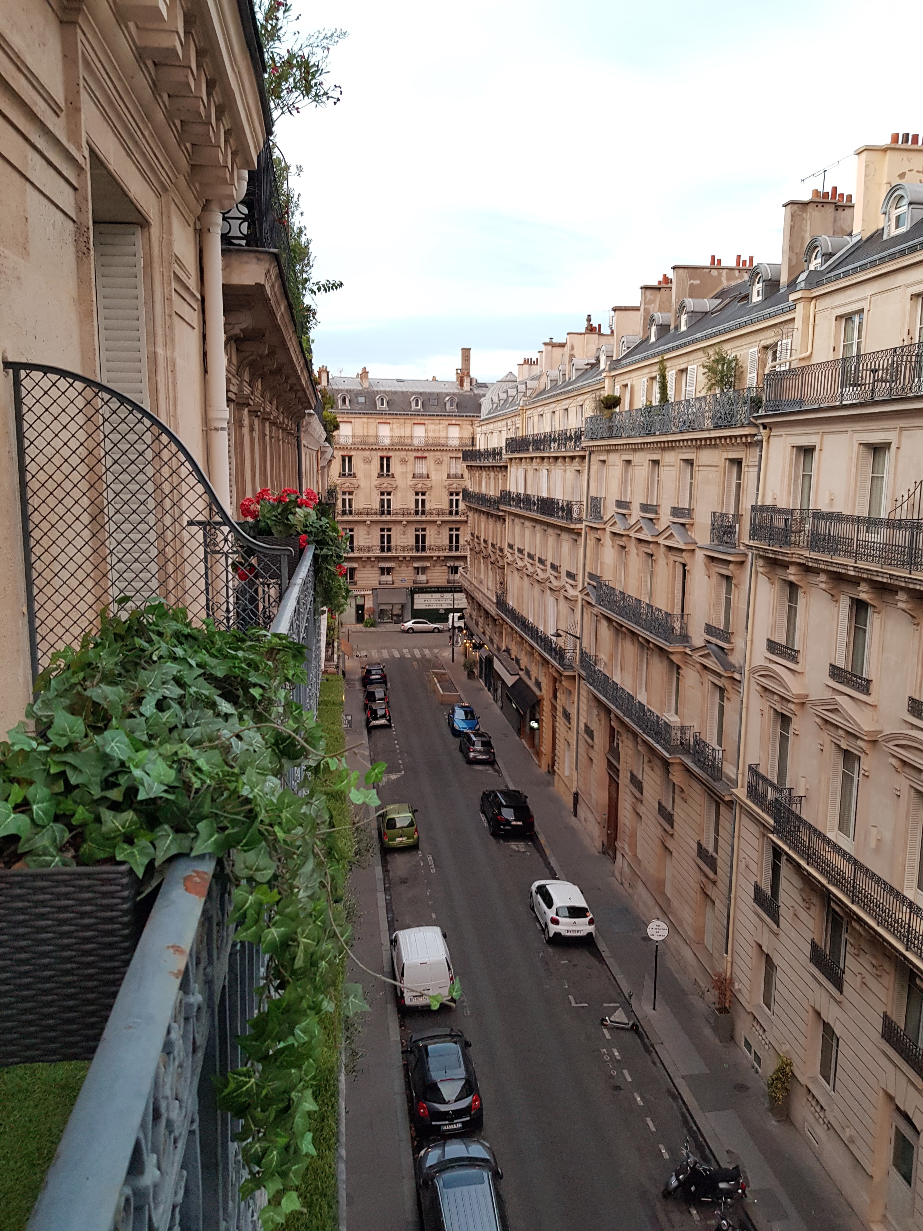 Photo n° 6 de l'avis de lay.o fait le 17/08/2020 à 20:23
