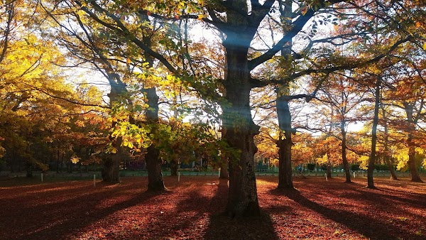 Imagen de Raspano Ecoturismo (9 de 14)