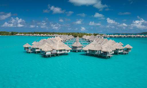 Travel Agency «Kingsbridge Travel», reviews and photos, 10006 Cross Creek Blvd #414, Tampa, FL 33647, USA