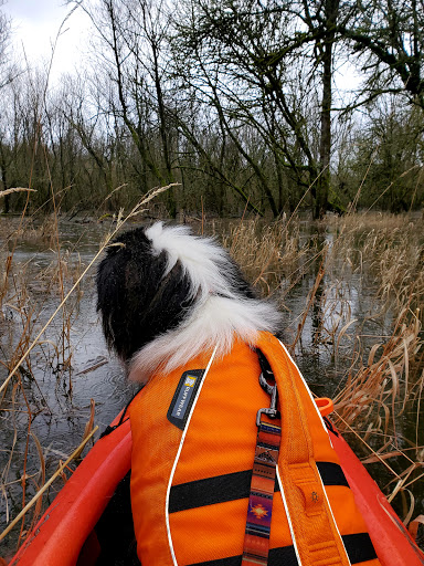 Canoe & Kayak Rental Service «Scappoose Bay Paddling Center», reviews and photos, 57420 Old Portland Rd, Warren, OR 97053, USA