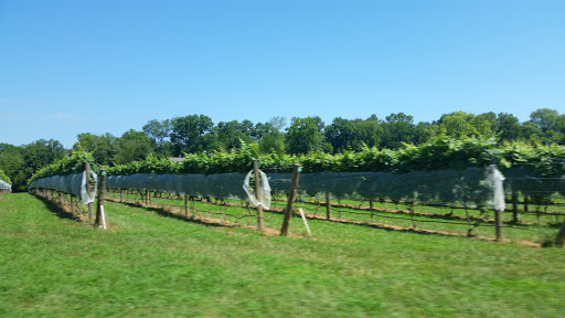 Winery «Upper Shirley Vineyards», reviews and photos, 600 Shirley Plantation Rd, Charles City, VA 23030, USA