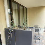 Photo n°1 de l'avis de Jutta.o fait le 10/05/2024 à 11:47 sur le  Hotel Misan Norderney à Norderney