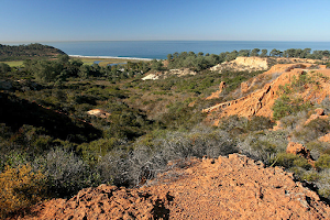 Torrey Pines State Natural Reserve Extension image