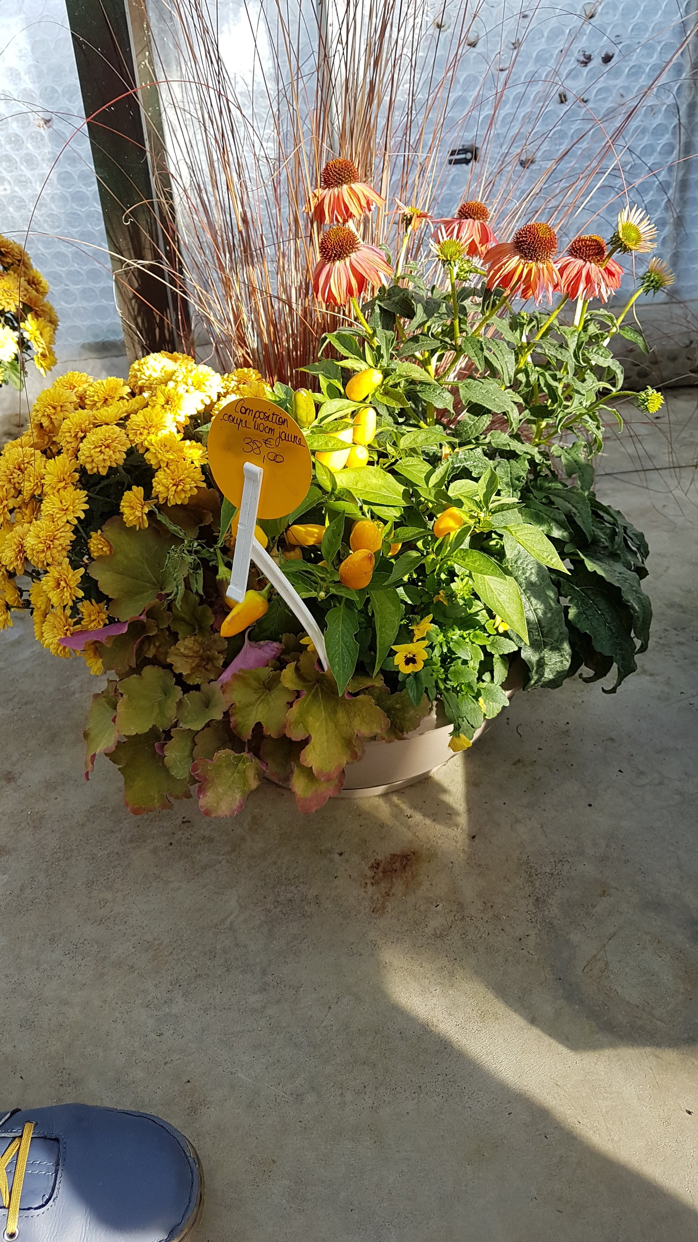 Photo n° 4 de l'avis de Céline.a fait le 20/11/2019 à 12:07