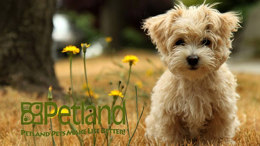 Pet Supply Store «Petland - Iowa City», reviews and photos, 1851 Lower Muscatine Rd, Iowa City, IA 52240, USA