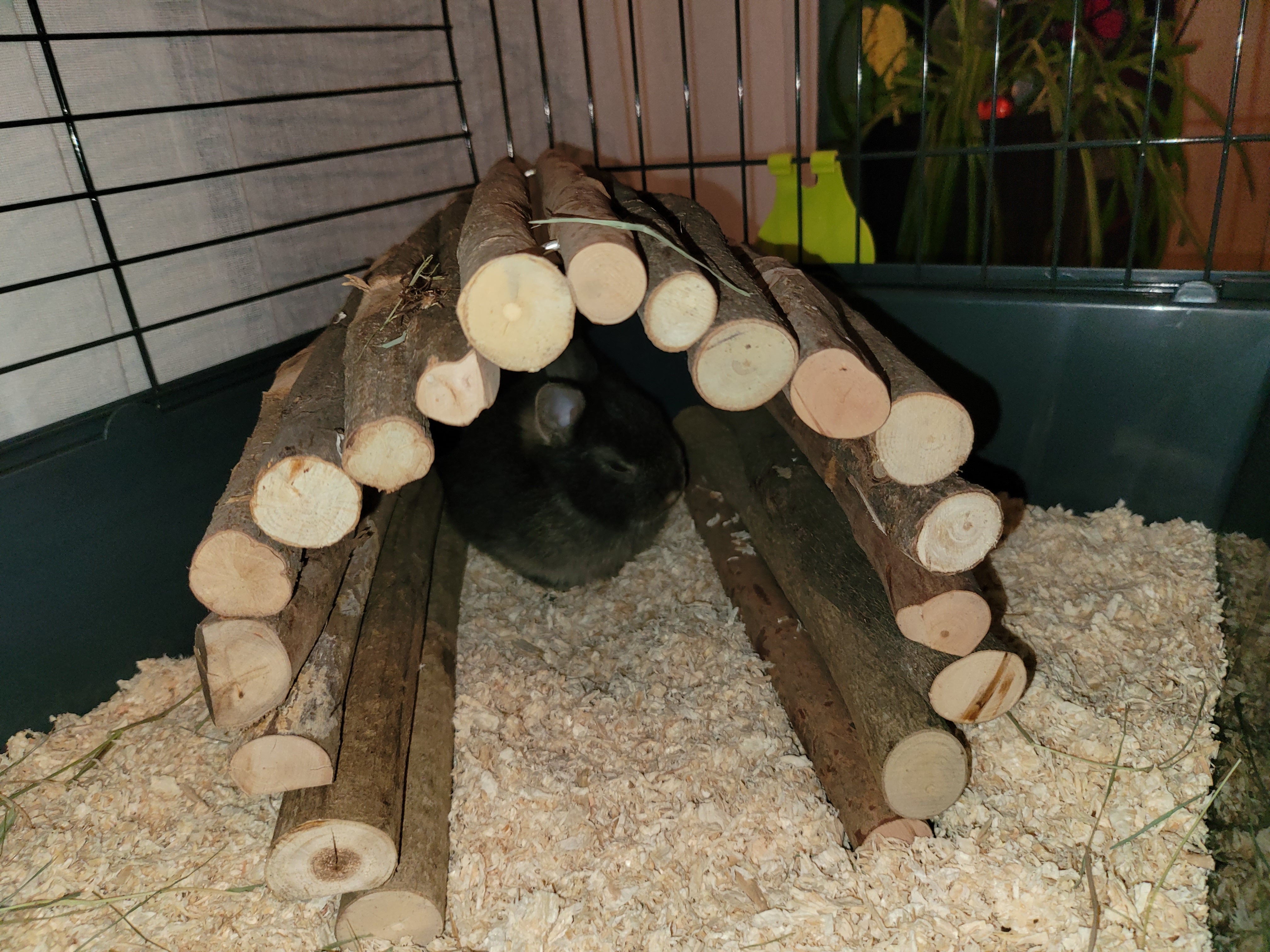 Photo n° 2 de l'avis de Chloé.a fait le 12/01/2021 à 17:46