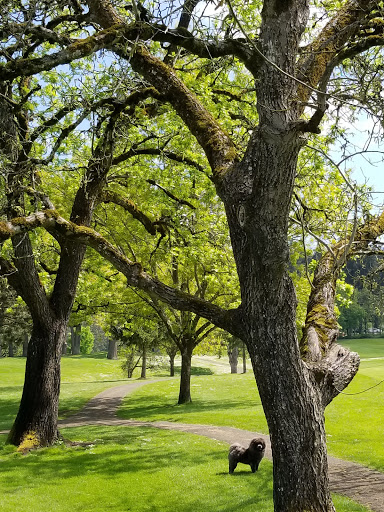 Golf Course «Laurelwood Golf Course», reviews and photos, 2700 Columbia St, Eugene, OR 97403, USA