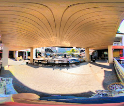Morefin Bar photo