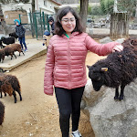 Photo n° 5 de l'avis de alison.a fait le 29/02/2024 à 08:15 pour Le Zoo d'Upie à Upie