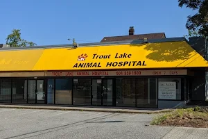 Trout Lake Animal Hospital image