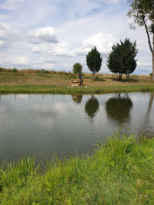 Pêche À La Truite à Montlognon