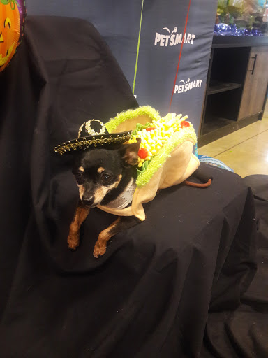 Pet Supply Store «PetSmart», reviews and photos, 315 Gellert Blvd, Daly City, CA 94015, USA