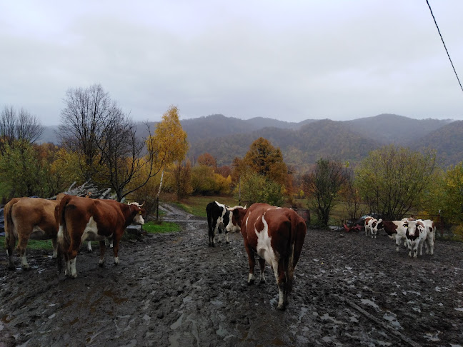 Almar Veterinaria - Veterinar