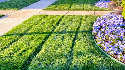 Lawn Experts