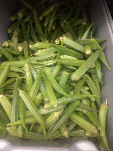 Indian Restaurant «India Spice House - Indian Restaurant and Grocery in Eden Prairie, MN», reviews and photos, 8445 Joiner Way, Eden Prairie, MN 55344, USA