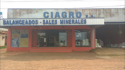 Mercado de productos del campo