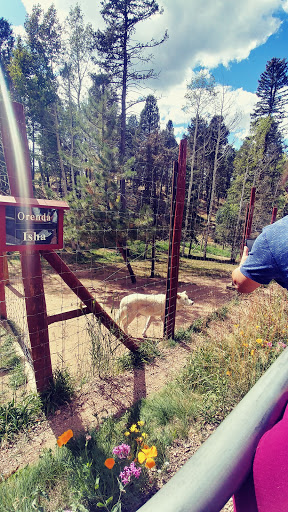 Wildlife Park «Colorado Wolf and Wildlife Center», reviews and photos, 4729 Twin Rocks Rd, Divide, CO 80814, USA