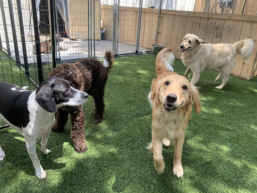 Pet Boarding Service «All About Pets», reviews and photos, 130 Arrow Rd #102, Hilton Head Island, SC 29928, USA