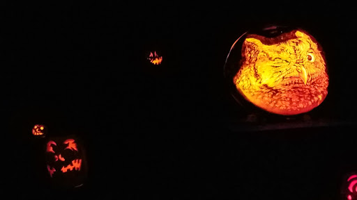 Zoo «Jack-O-Lantern Spectacular», reviews and photos, 1000 Elmwood Ave, Providence, RI 02905, USA