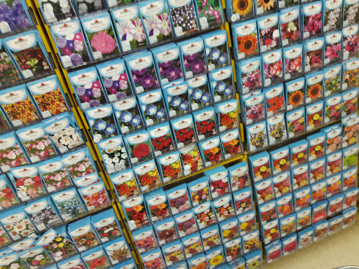 Discount Store «Ocean State Job Lot», reviews and photos, 30 Commercial St, Medford, MA 02155, USA